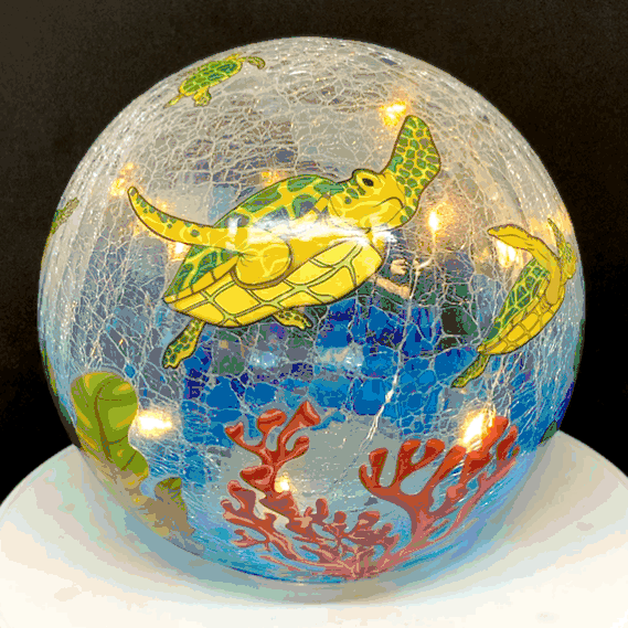 sea turtle gazing globe and light